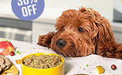 Pure Pet Food, Natural Dog Food, Freeze Dried Pet Food