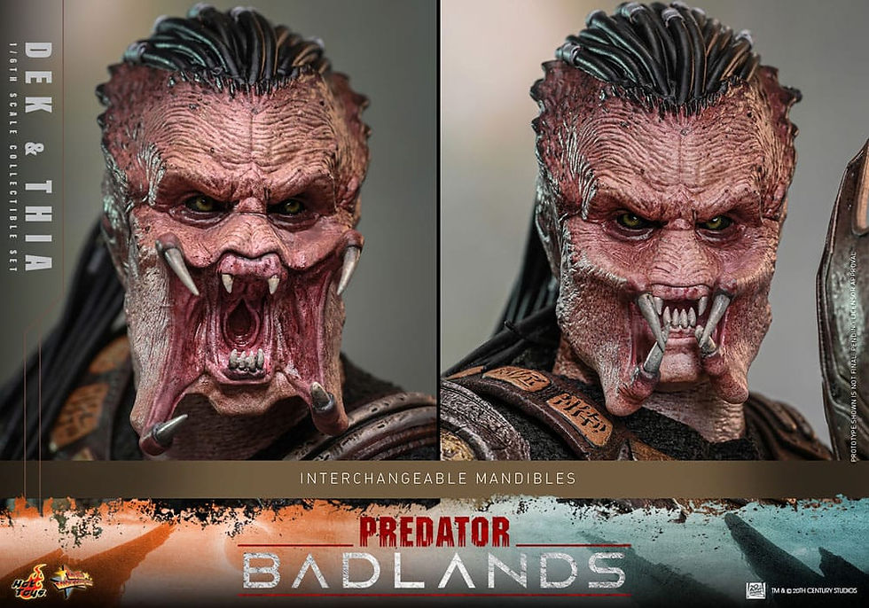 Miniatura: PRE-ORDER: PREDATOR BADLANDS 1/6 DEK AND THIA SET MMS850 (HOT TOYS 2026)
