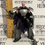 Miniature : TEENAGE MUTANT NINJA TURTLES 2012 SERIES  SHREDDER UNMASKED PLAYMATES 2013)