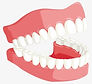 842-8421690_therefore-brush-daily-do-flossing-between-the-gaps.png