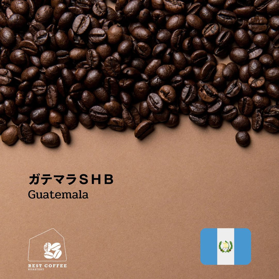 ガテマラ SHB