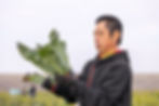新鮮そのもの!生野菜