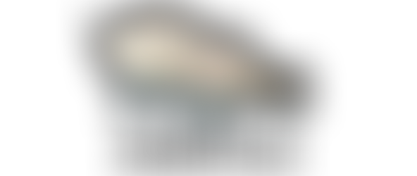 年末年始の営業について