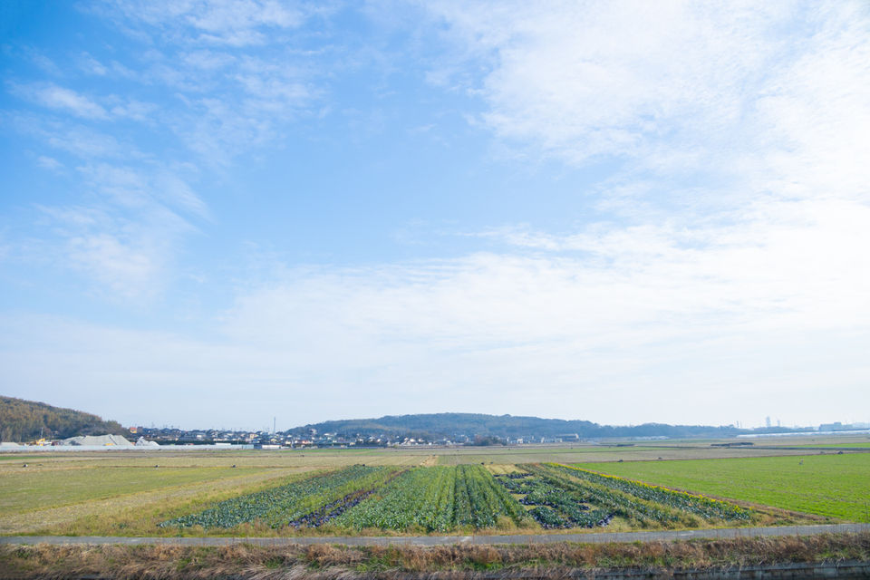 011205_34A0138-EditWeb.jpg