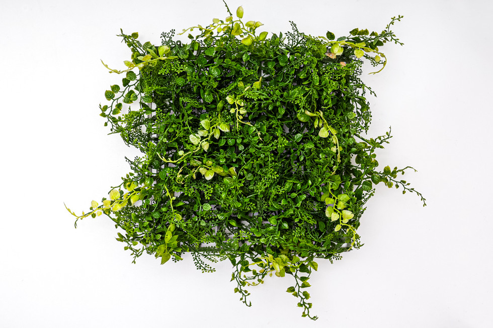 【12枚】アジアンタム ミックスリーフ マット LEE-7040の正面