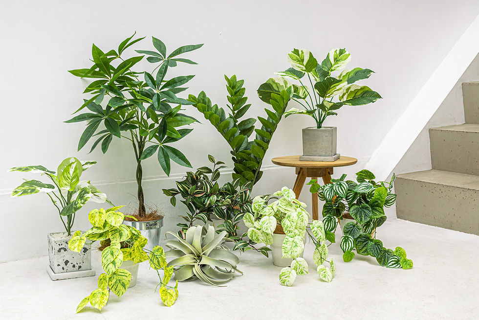 プロ向けインテリア造花専門「art garden」の観葉植 物