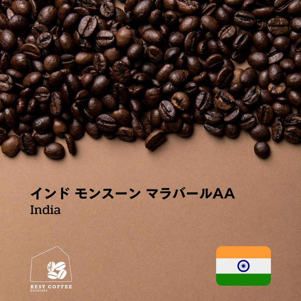 インド モンスーン マラバール AA