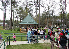 IMG_2470 - Copy (2).JPG