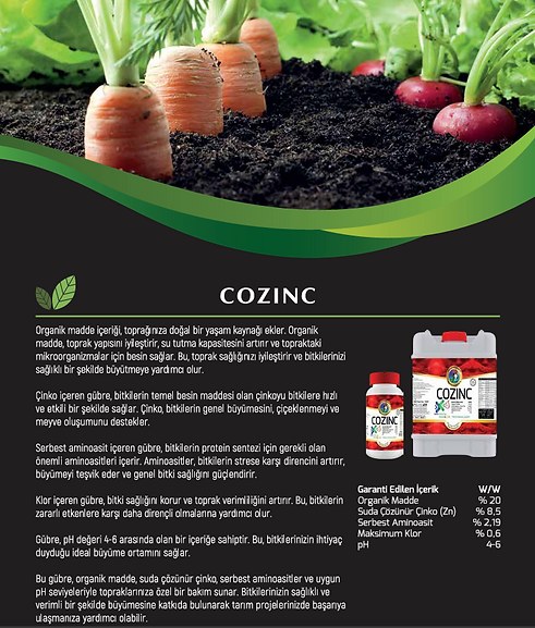 cozinc.PNG