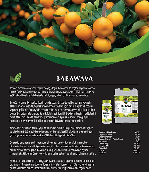 babawava.PNG
