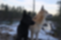 file_000000007cf471f5ad4d38733abb7a37.png