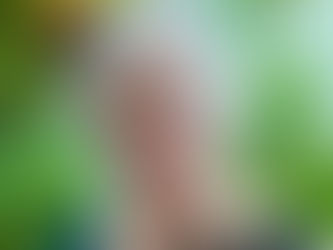 RY 23-24 Incoming President Message