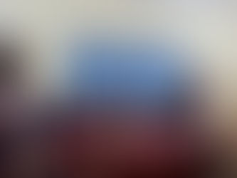 Interact Club of New English School Panvel - Installation 2023