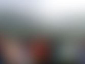 पावसाळी सहल आणि चार्टर डे