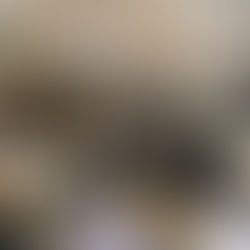 課外活動おせんべい焼き体験in草加市