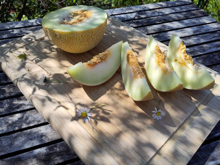 Eine Melone auf einem Tisch