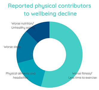 Physical contributors to wellbeing decline.png