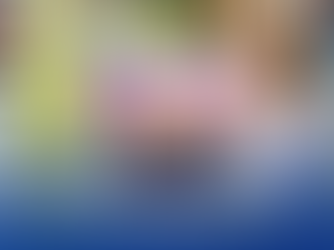 STS Summer Camp 2026: "Academy of Curiosity" 🌻✨