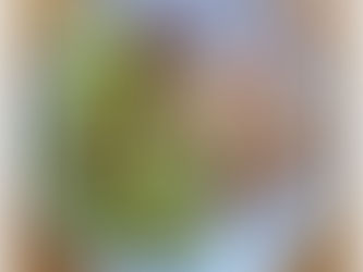 En smakrik och nyttig maträtt från zeuswelness.com