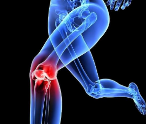 Ledernas uppbyggnad.