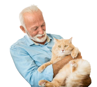 Senior man adopting rescue cat fromCape-Atlantic CATS Rescue Shelter