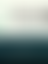 Accelerator Info Session-Cohort 4