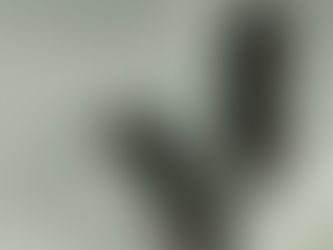 Baby season is back again!