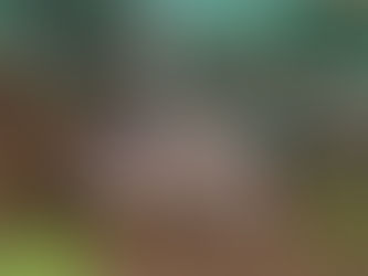 What an adventurous day for Wiggles on his first day outside!