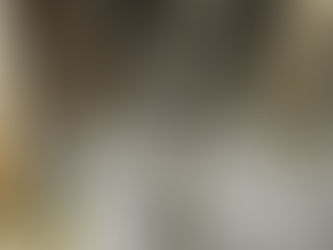 Update on the bunnies that came in together as orphans.