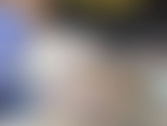 baby squirrels have breakfast