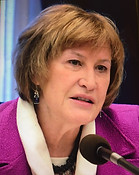 Kathy Sheran.JPG