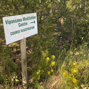 What 10 days of silence taught me about communication