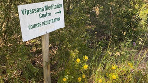 What 10 days of silence taught me about communication