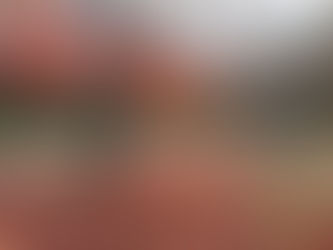 🌿ホームページをリニューアルしました!