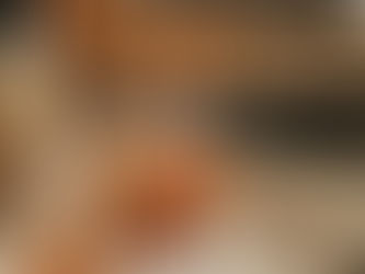 Une Autre vie s'invente ici: la filière Bois-Construction dans le PNR