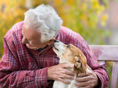La rubrique Cyno: la médiation animale