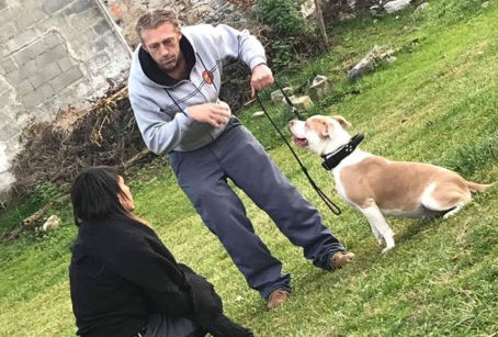 La rubrique cyno: petit précis d'éducation canine