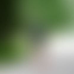 Sport Santé: les conseils pour un entrainement