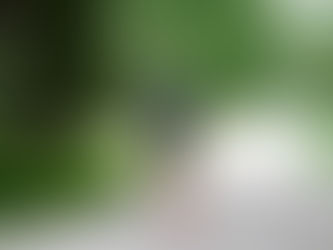 Sport Santé: les conseils pour un entrainement