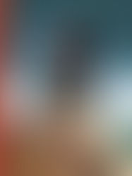 Bulles à Découvrir, l'émission du 2 novembre