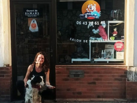 La rubrique Cyno: le toilettage canin