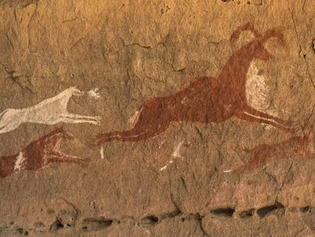 La rubrique cyno: les chiens dans l'art pariétal