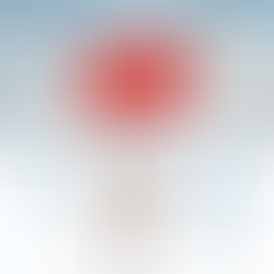 on parle de la 1ère édition du BEILLE TRAIL 2025