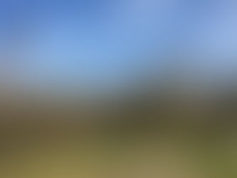 Le journal: la grippe aviaire au domaine des oiseaux