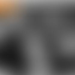 HO-LA-TINO avec Hanoi Veloz