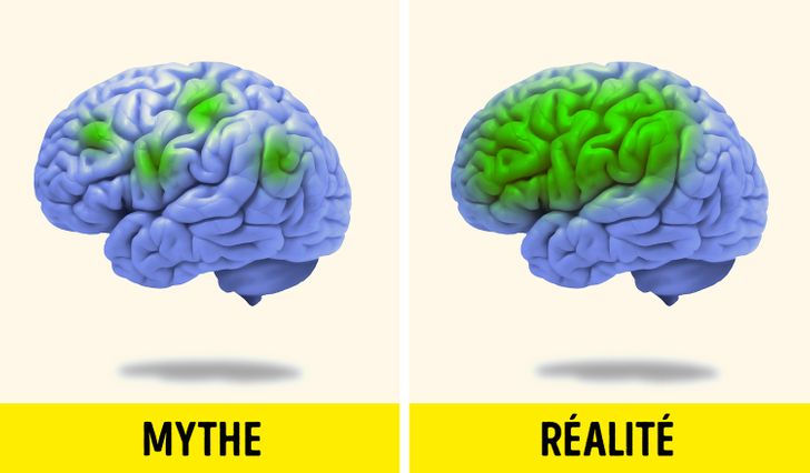 Sport Santé: Mythes et légendes du cerveau