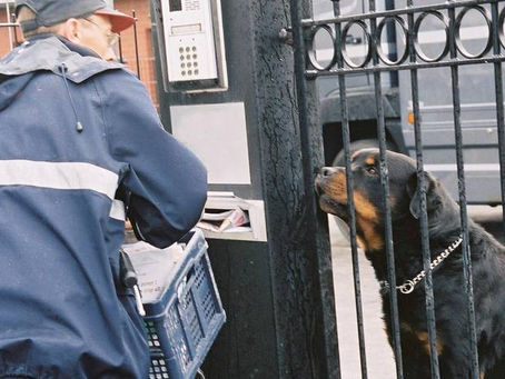 La rubrique cyno: le facteur et mon chien
