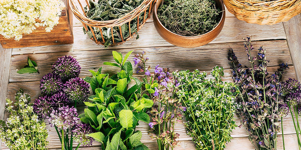 Talents de Femmes à Foix les 6 et 7 juin: Gisèle Sinfreu produit et transforme des plantes aromatiques et médicinales