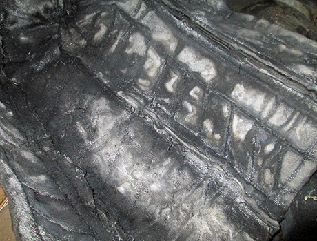 Chrom (VI)-kontaminiertes Isolierkissen