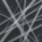 VitroSilk Fiber_microscope.jpg